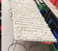 冬至來臨，公司員工一起來包＂扁食＂